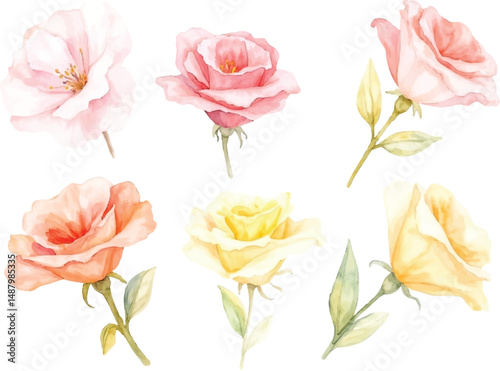 Wallpaper Mural Collection of Delicate Watercolor Roses and Flowers in Pastel Shades Torontodigital.ca