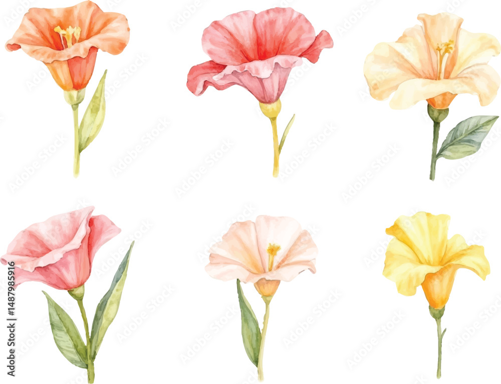 Obraz premium Collection of Six Watercolor Pastel Flowers Isolated on White Background