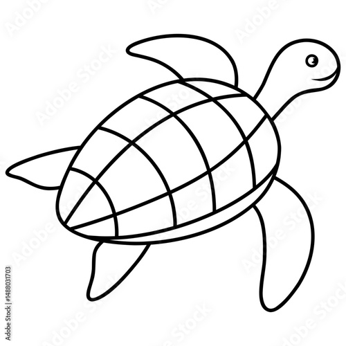turtle vector illustration