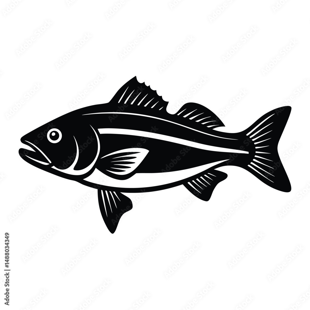 Fototapeta premium Striped Bass Fish Illustration Black and White Vector Graphic