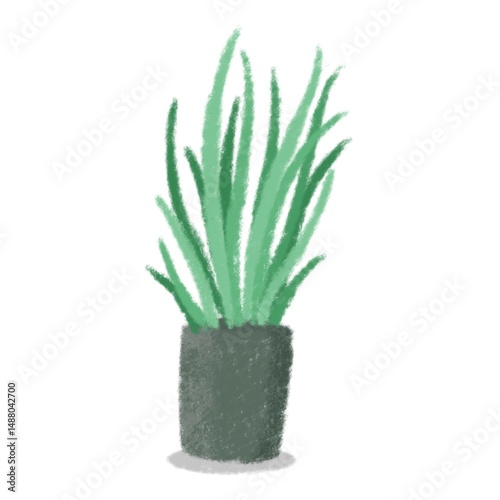 hand drawn potted plant with crayon tools. Cartoon of Window leaf plant pot icon isolated on white background