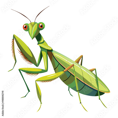 Mantis