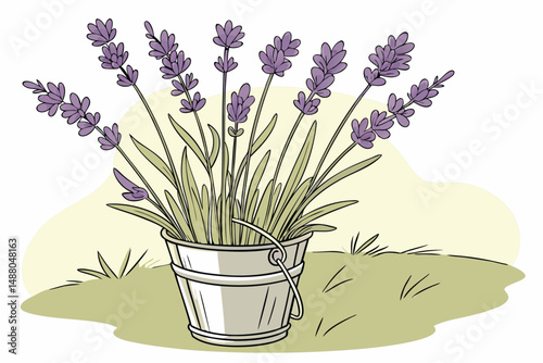 140 lavender, purple, flower, bouquet, lavender bouquet, floral, plant, botanical, bucket, metal bucket, vase, still life