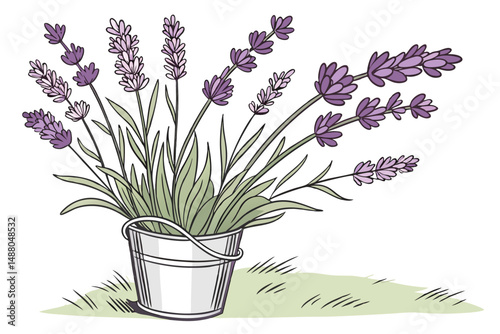 140 lavender, purple, flower, bouquet, lavender bouquet, floral, plant, botanical, bucket, metal bucket, vase, still life