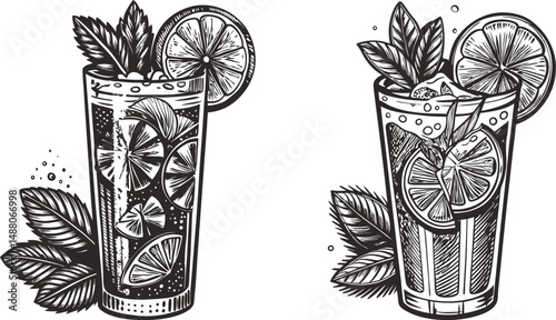Two refreshing cocktails with mint and citrus garnishes hand drawn illustration