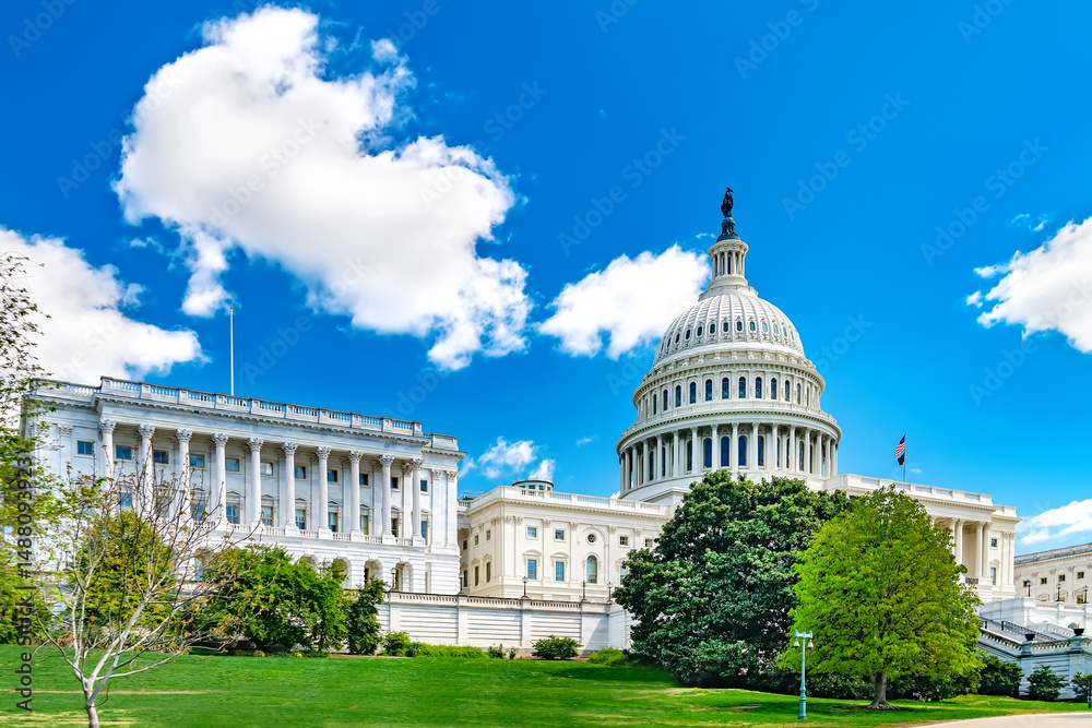 Obraz premium Summer view of the Capitol building in Washington, D.C., a green lawn under a blue sky.