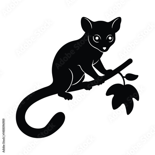 Galago Branch Clinging Vector Art