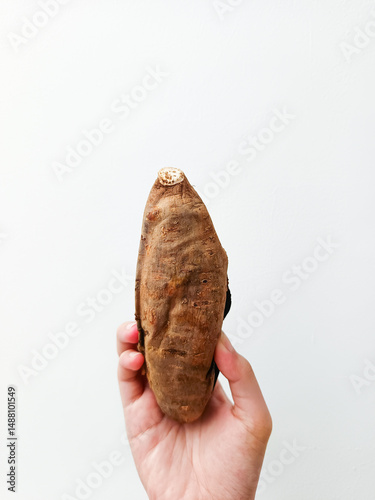 Hand holding a roasted honey sweet potato on white background