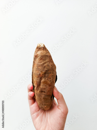Hand holding a roasted honey sweet potato on white background