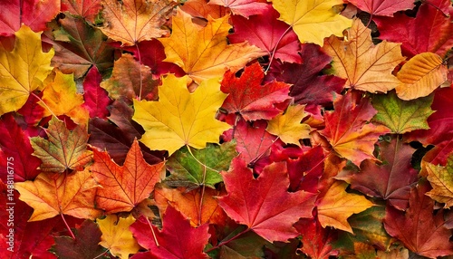 colorful autumn leaves fall background ai generated