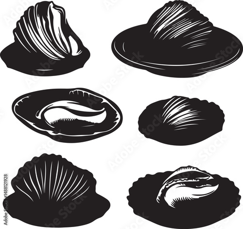 Black and White Vector Illustration of Assorted Seashells: Detailed Graphic Art of Ocean Shells for Nautical Designs and Marine Biology Projects