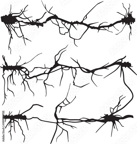 Black and White Vector Illustration of Plant Roots: Detailed Graphic Design Element for Botanical Illustrations and Natural Science Projects