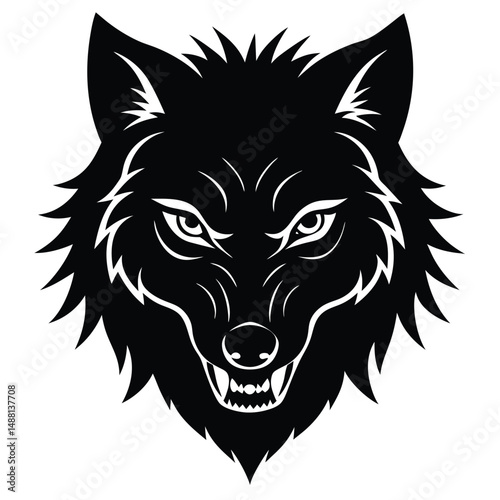 Alpha Wolf Staring Forward on White