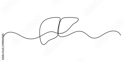 Single continuous line drawing of liver anatomy. Human organ medical concept vector illustration