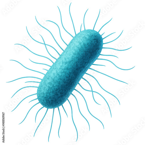 Bacterial transparent background.