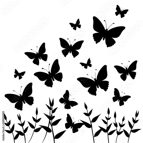 set of butterflies