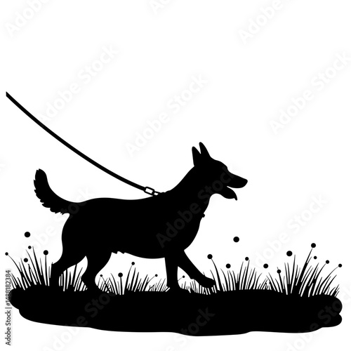 Silhouette of Dog Running with Leash in Open Field, Pet Training and Exercise Concept