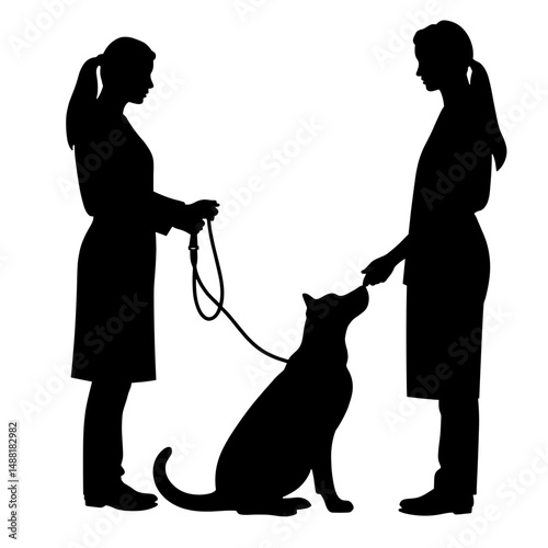 Person Picking Up Pet After Surgery at Veterinary Clinic, Animal Care and Rehabilitation