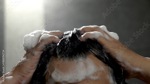A man washes his hair with anti-dandruff shampoo.. photo