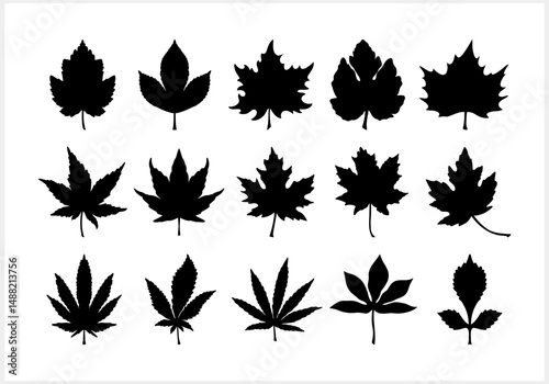 Doodle maple leaf icon isolated. Stencil clipart. Vector stock illustration