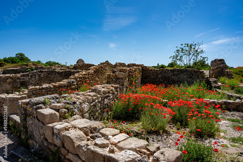 Ruinen mit Mohn
