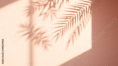 Soft Sunlight and Palm Leaf Shadows A Minimalist Botanical Photograph