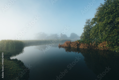 Misty morning beside a river with calm water, reeds and trees