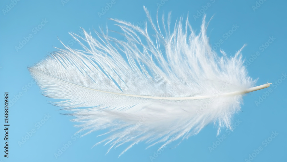 Obraz premium White Feather Floating on Light Blue Background