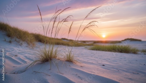 Fototapeta Naklejka Na Ścianę i Meble -  Dusk at the scenic Baltic Sea coast featuring dunes and beach scenery