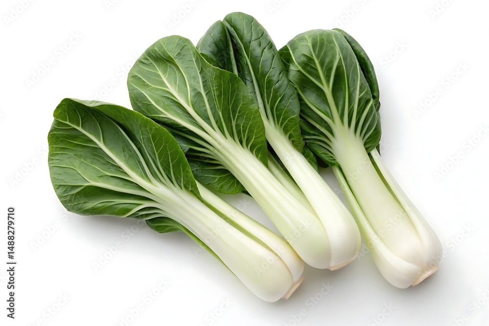 Fresh Bok Choy White Background Fresh Bok Choy White Background