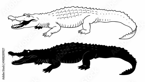 Two crocodiles one in outline and one in silhouette showing teeth and scales in black and white style editable vector eps/eps