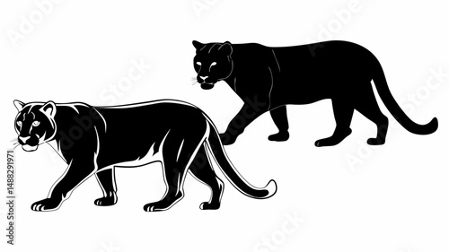 Two black panthers walking side by side in a graphic illustration on a white background design image editable vector eps/eps