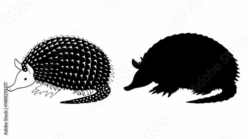 Two echidna illustrations one detailed and one in silhouette against a white background design art editable vector eps/eps