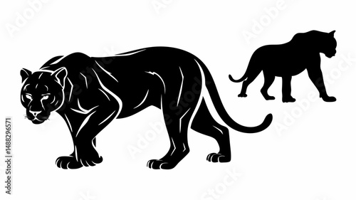 Two black panthers depicted in silhouette and outline on a white background in a vector drawing editable vector eps/eps