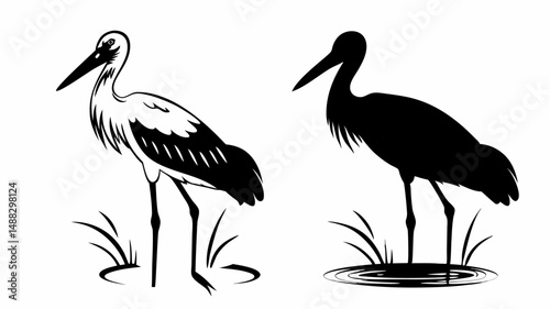 Two storks standing in grass one with detailed feathers and one in silhouette in black and white editable vector eps/eps