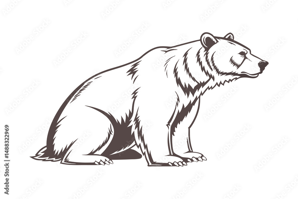 Obraz premium Hand-Drawn Bear Illustration – Wild Animal Sketch in Vintage Style 