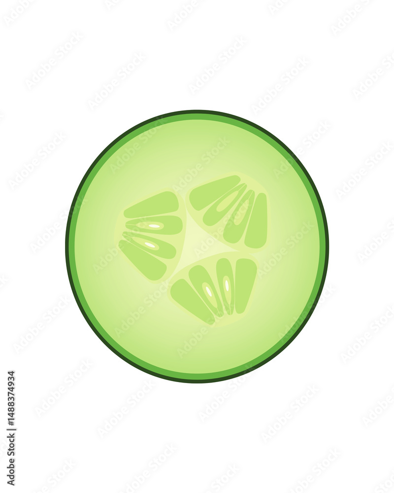 Fototapeta premium This image is a digital illustration of a cucumber slice.