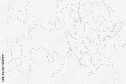 modern topographic  abstract white surface with intricate gray wave lines forming organic shapes, creating a minimalist and modern textured whit background design.