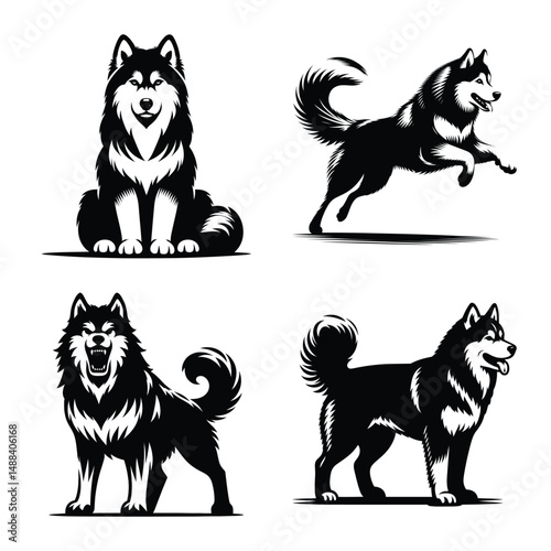 Different siberian husky dog set bundle vector illustration isolated on white background