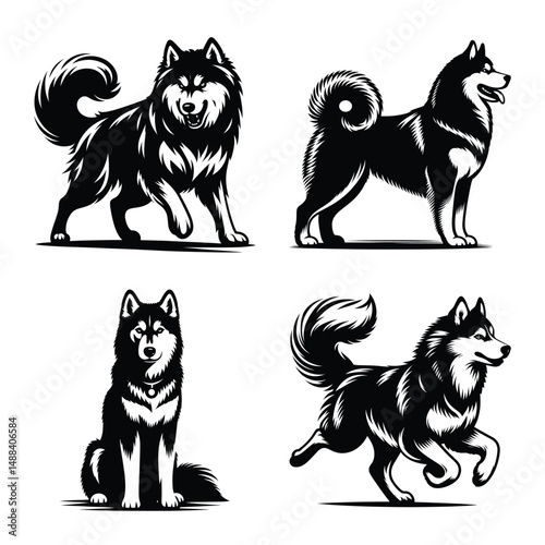 Different siberian husky dog set bundle vector illustration isolated on white background