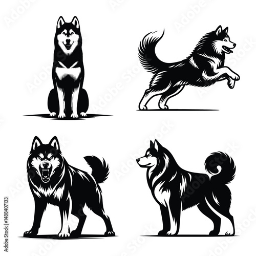 Different siberian husky dog set bundle vector illustration isolated on white background