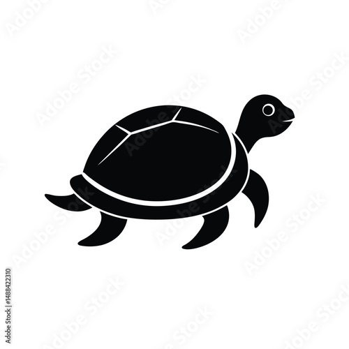 turtle vector illustration