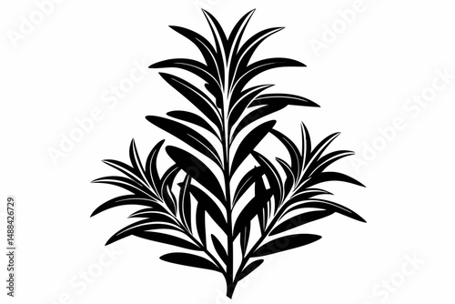 rosemary silhouette line art vector illustration with a white background