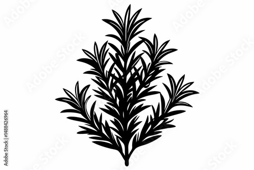 rosemary silhouette line art vector illustration with a white background