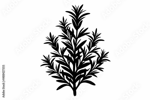 rosemary silhouette line art vector illustration with a white background