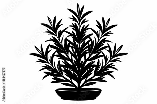 rosemary silhouette line art vector illustration with a white background
