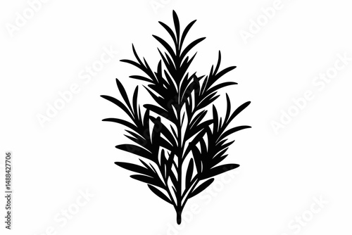 rosemary silhouette line art vector illustration with a white background