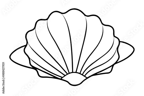seashell silhouette line art vector illustration with a white background