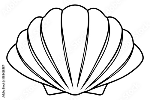 seashell silhouette line art vector illustration with a white background