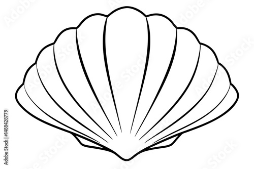 seashell silhouette line art vector illustration with a white background